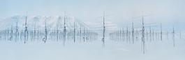 Antennaforest 2, Arctic Technology series
