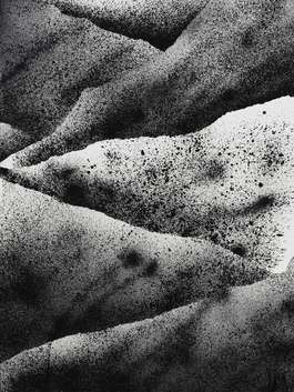 Sea Scape 16
