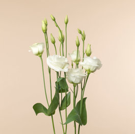 Offrande Petites fleurs 4072