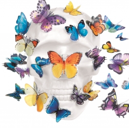 Vanité papillons 9467