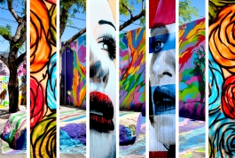 Wynwood Walls