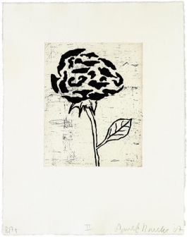 Five Flowers (2)