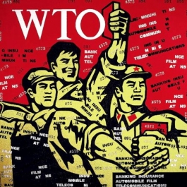 Great Criticism WTO