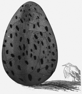 The Boy Hidden in an Egg