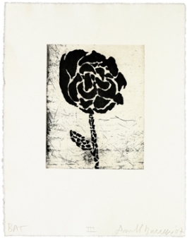 Five Flowers (3)