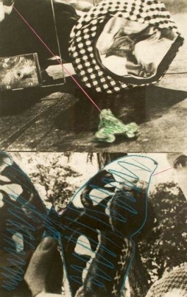Looking While Catching and Holding - Frog & Butterfly
