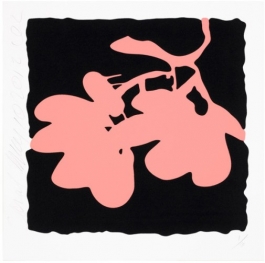 Lantern Flowers, May 10, 2012 (Coral)