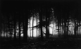Forest of Doxa