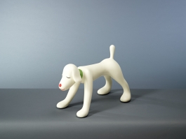 Your Dog