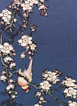 Bullfinch and weeping cherry