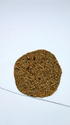 sable