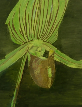 Orchid