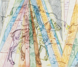 Rainbow Rembrandt