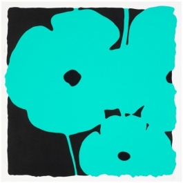Poppies - Aqua