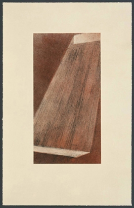 Bolt 111