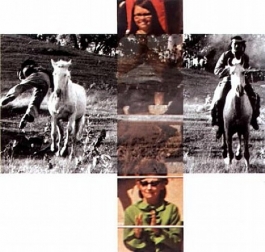 The Intersection Series: Person on Horse and Person Falling from Horse, with Audience