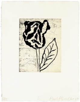 Five Flowers (1)
