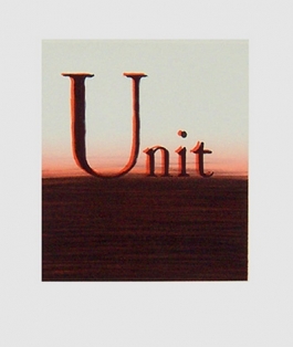 Unit