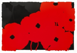 Reds and Blacks