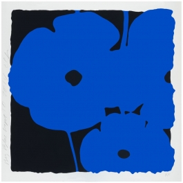 Blue Poppy