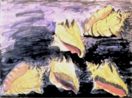 Five Shells
