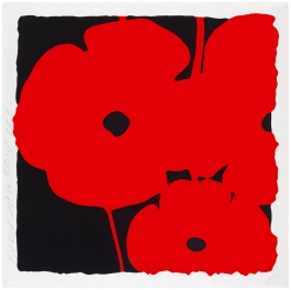Red Poppy I