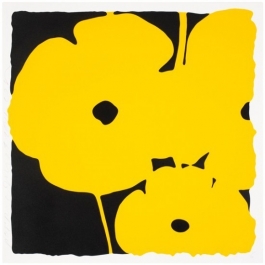 Poppies - yellow