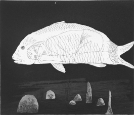 The Boy Hidden in a Fish