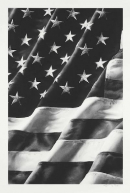 Old Glory, Left Side