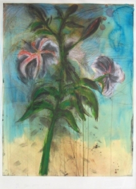 The Sky and Lilies