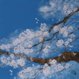 Cherry Blossom And Winter Sky