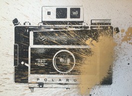 Warhol Polaroid