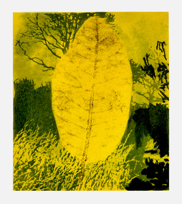 Leaf VI
