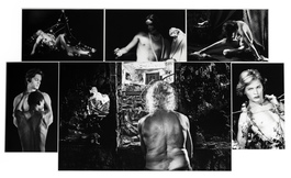 The polyptych