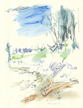 Landschaft / Landscape
