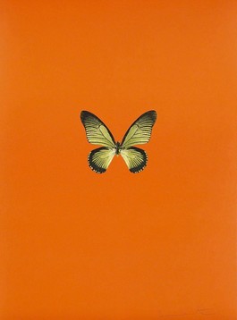 Six Butterflies I
