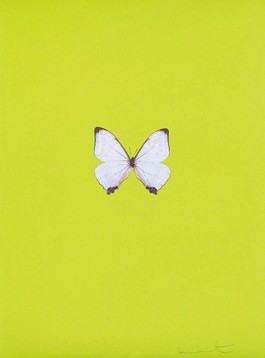 Six Butterflies II