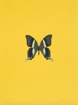 Six Butterflies III