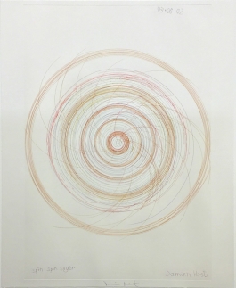 Spin,Spin, Sugar