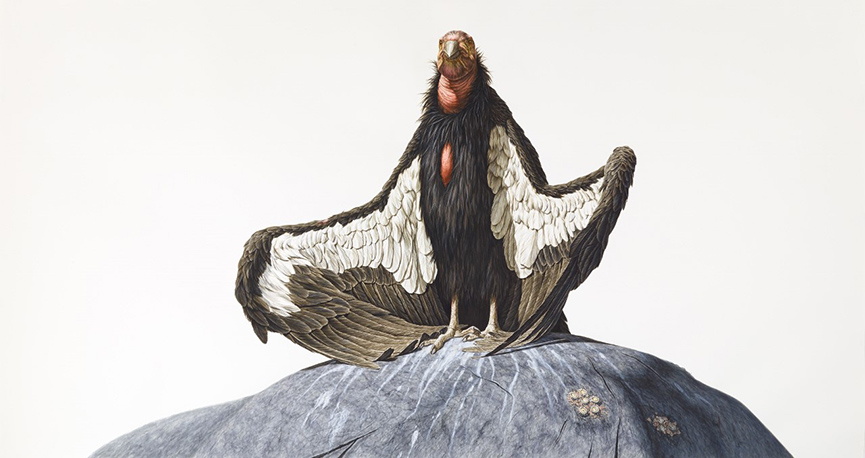 PPOW Gallery