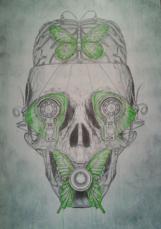 Skull With Butterfly Eyes