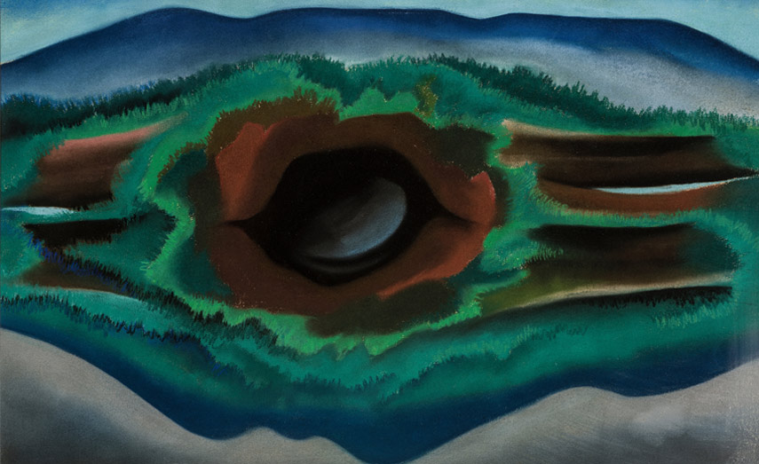o'keeffe spent her time between new york with stieglitz and mexico painting her abstract series of work and making photography