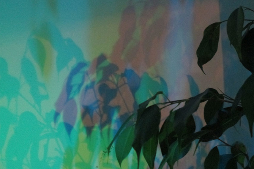 HelenA Pritchard exhibition