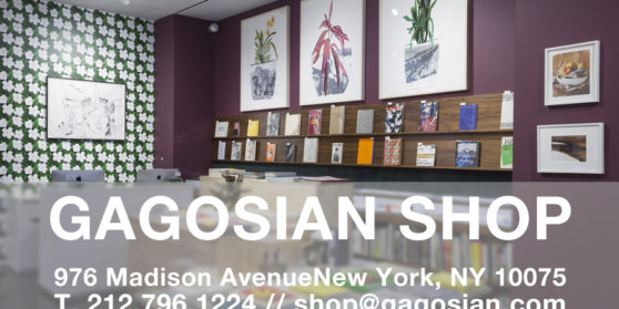 GAGOSIAN SHOP New York
