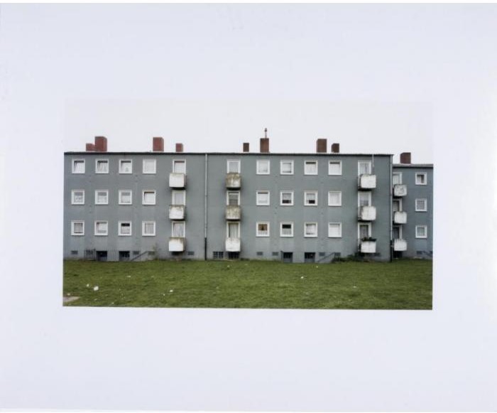 Haus 61 Widewalls