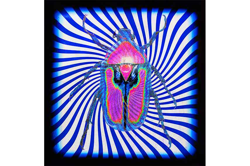 Adam Bricusse exhibition