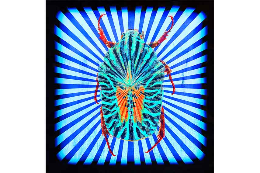 Adam Bricusse exhibition