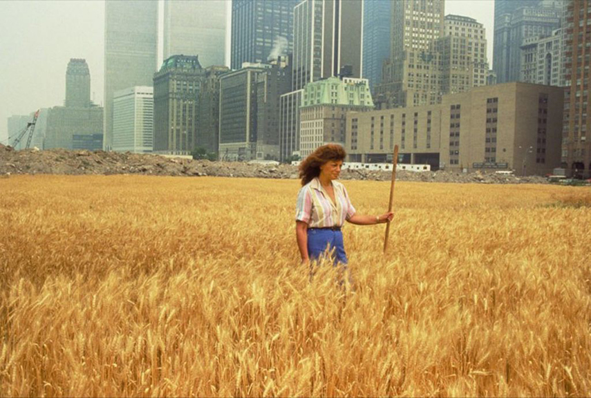 Agnes Denes Wheatfield A Confrontation 1982