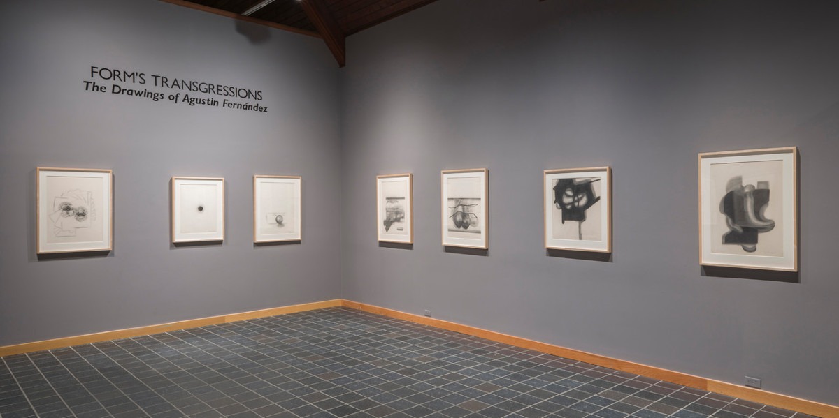 Biography of Agustin Fernandez Widewalls