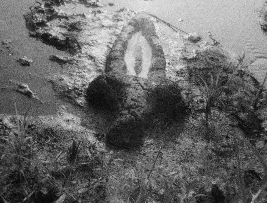Ana Mendieta - Birth